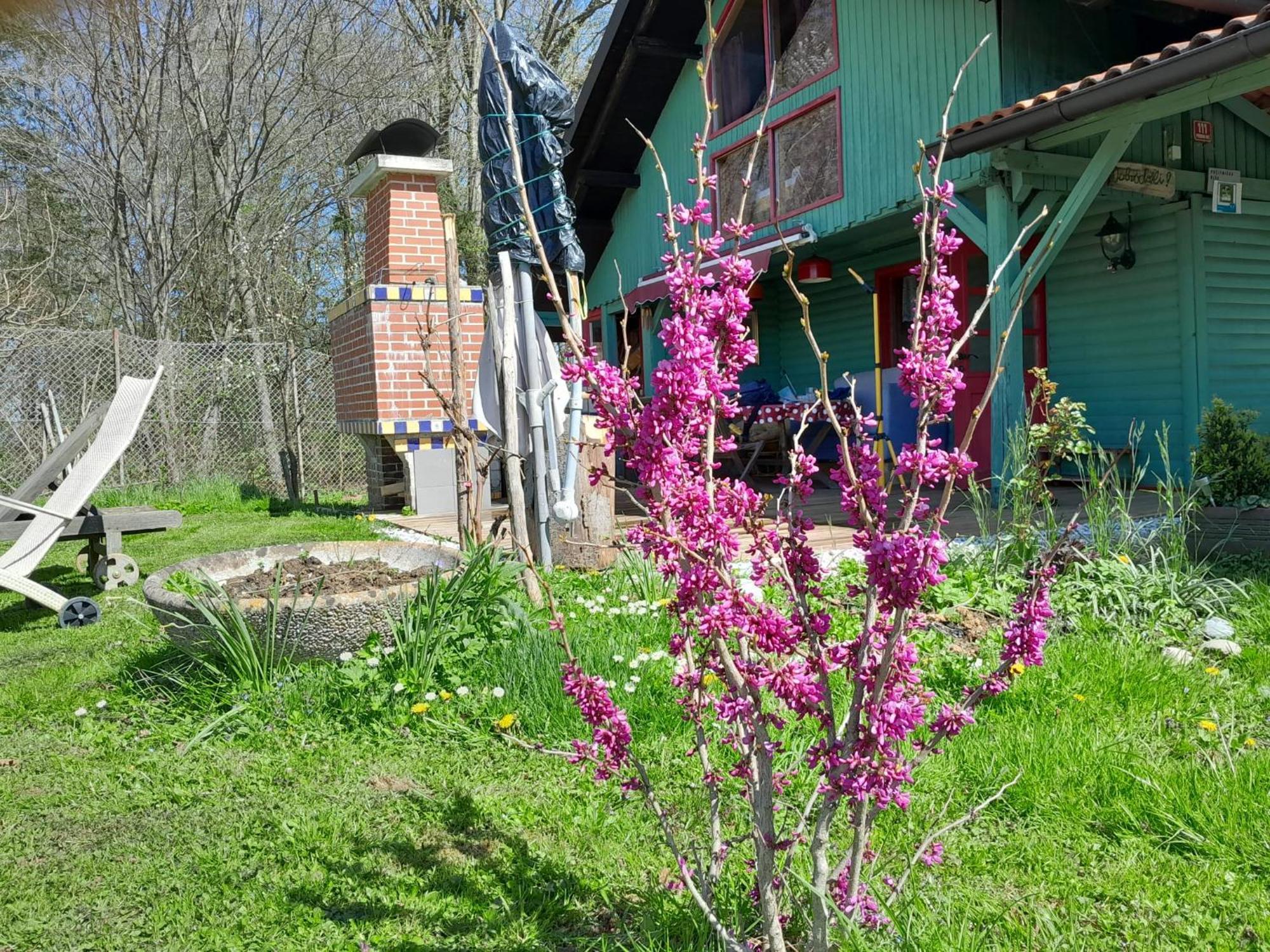Villa Fairytale Wooden House Grosuplje Exterior foto